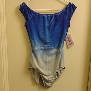 Blue and Gray Ombre Leotard